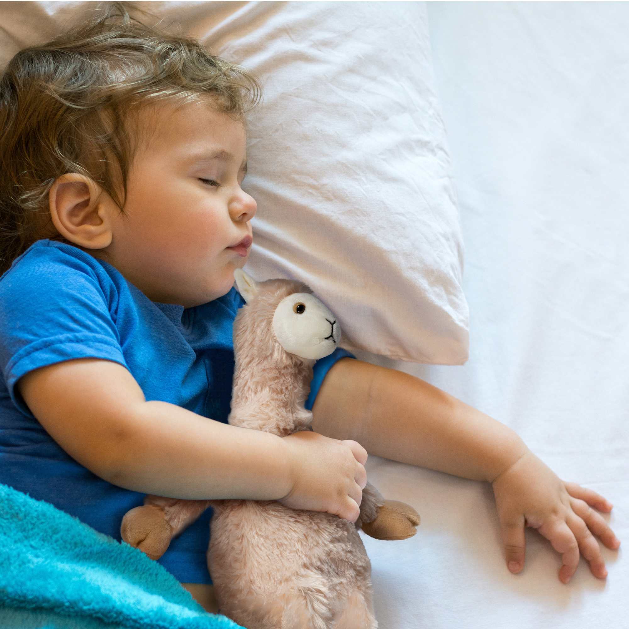 Microwavable Llama Heating Pad Terra Home