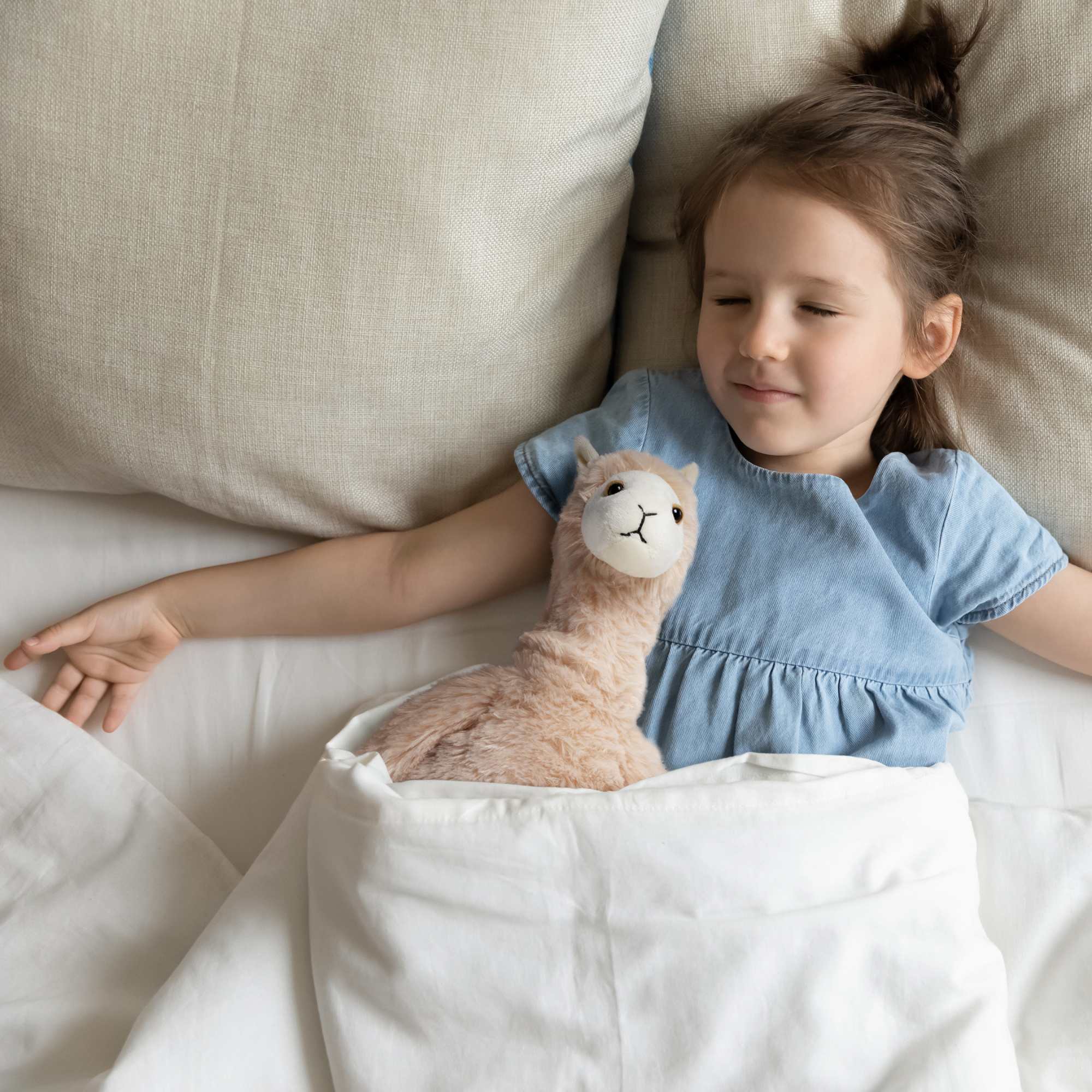 Microwavable Llama Heating Pad Terra Home