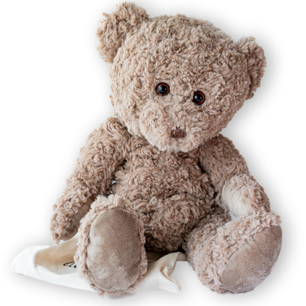 Cute Stuffed Animal Heating Pad for Period Cramps - Ideal Portable Heating Pad for Cramps - microwavable Stuffed Animal for Girls, Women, Kids, Pets (Bear)